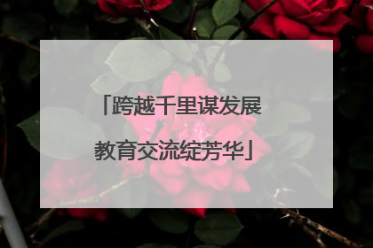 跨越千里谋发展 教育交流绽芳华