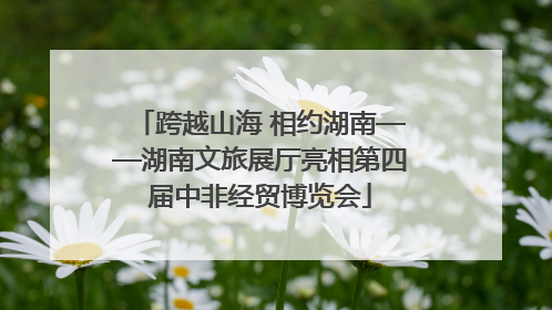 跨越山海 相约湖南——湖南文旅展厅亮相第四届中非经贸博览会