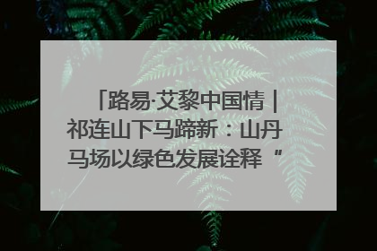 路易·艾黎中国情｜祁连山下马蹄新：山丹马场以绿色发展诠释“两山”理论实践