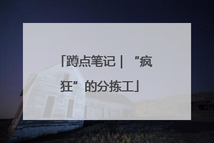 蹲点笔记｜“疯狂”的分拣工
