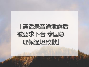 通话录音遭泄露后被要求下台 泰国总理佩通坦致歉
