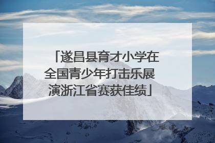 遂昌县育才小学在全国青少年打击乐展演浙江省赛获佳绩