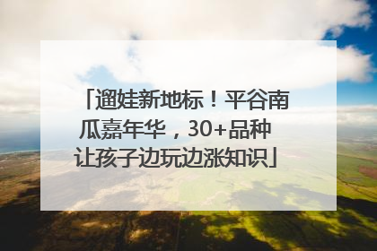 遛娃新地标!平谷南瓜嘉年华,30+品种让孩子边玩边涨知识