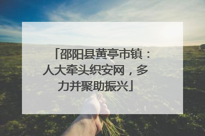 邵阳县黄亭市镇：人大牵头织安网，多力并聚助振兴