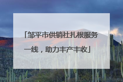 邹平市供销社扎根服务一线，助力丰产丰收
