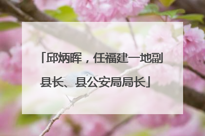 邱炳晖，任福建一地副县长、县公安局局长