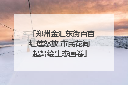 郑州金汇东街百亩红莲怒放 市民花间起舞绘生态画卷
