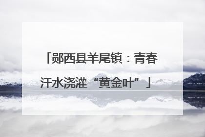 郧西县羊尾镇：青春汗水浇灌“黄金叶”