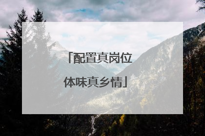 配置真岗位 体味真乡情