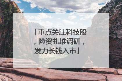 重点关注科技股，险资扎堆调研，发力长钱入市