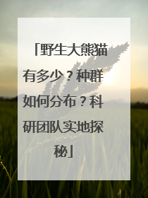 野生大熊猫有多少？种群如何分布？科研团队实地探秘