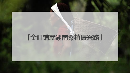 金叶铺就湖南桑植振兴路