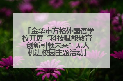金华市方格外国语学校开展“科技赋能教育 创新引领未来”无人机进校园主题活动