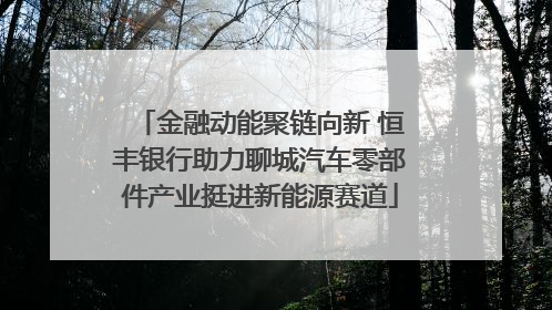 金融动能聚链向新 恒丰银行助力聊城汽车零部件产业挺进新能源赛道