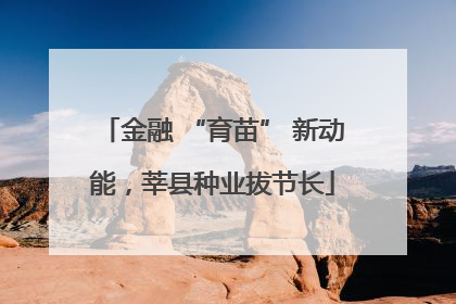 金融 “育苗” 新动能，莘县种业拔节长
