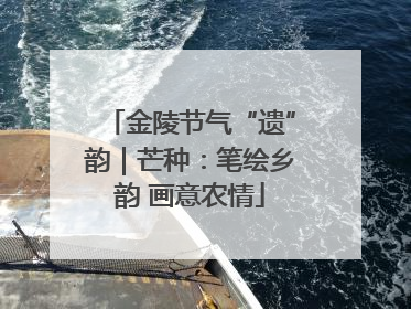 金陵节气“遗”韵｜芒种：笔绘乡韵 画意农情