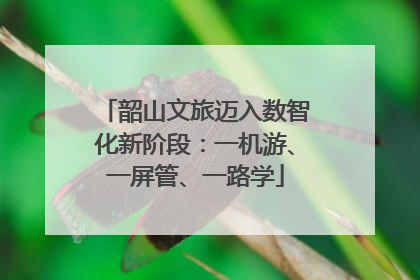 韶山文旅迈入数智化新阶段：一机游、一屏管、一路学