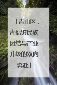 青山区：青福镇民族团结与产业升级的双向奔赴