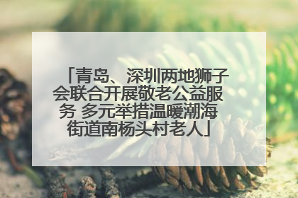 青岛、深圳两地狮子会联合开展敬老公益服务 多元举措温暖潮海街道南杨头村老人