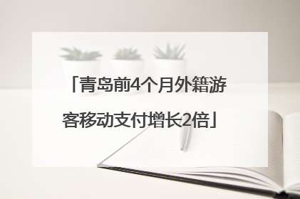 青岛前4个月外籍游客移动支付增长2倍