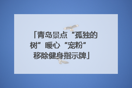 青岛景点“孤独的树”暖心“宠粉” 移除健身指示牌