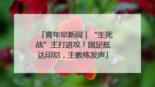青年早新闻｜“生死战”主打进攻！国足抵达印尼，主教练发声