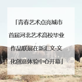 青春艺术点亮城市 首届河北艺术高校毕业作品联展在新汇文·文化创意体验中心开幕