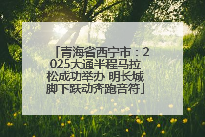 青海省西宁市：2025大通半程马拉松成功举办 明长城脚下跃动奔跑音符