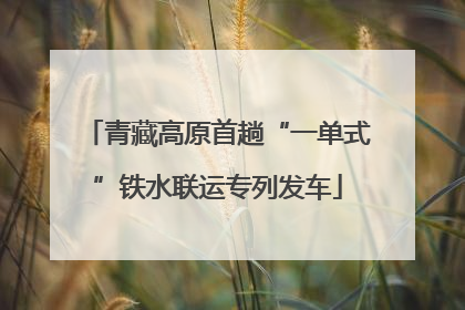 青藏高原首趟“一单式”铁水联运专列发车