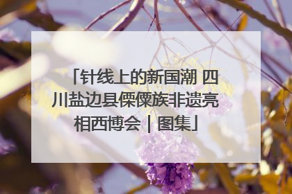 针线上的新国潮 四川盐边县傈僳族非遗亮相西博会｜图集