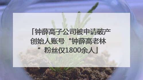 钟薛高子公司被申请破产 创始人账号“钟薛高老林”粉丝仅1800余人