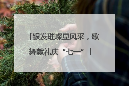 银发璀璨显风采，歌舞献礼庆“七一”