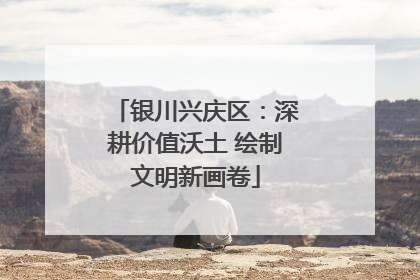 银川兴庆区:深耕价值沃土 绘制文明新画卷