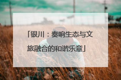 银川：奏响生态与文旅融合的和谐乐章