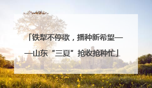 铁犁不停歇，播种新希望——山东“三夏”抢收抢种忙