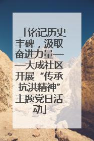 铭记历史丰碑，汲取奋进力量——大成社区开展“传承抗洪精神”主题党日活动