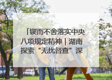 锲而不舍落实中央八项规定精神｜湖南探索“无扰督查”深化基层减负