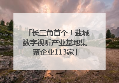 长三角首个！盐城数字视听产业基地集聚企业113家
