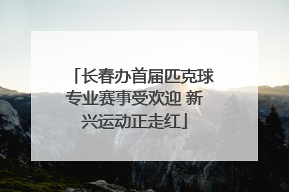 长春办首届匹克球专业赛事受欢迎 新兴运动正走红