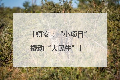 镇安：“小项目”撬动“大民生”