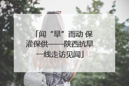闻“旱”而动 保灌保供——陕西抗旱一线走访见闻