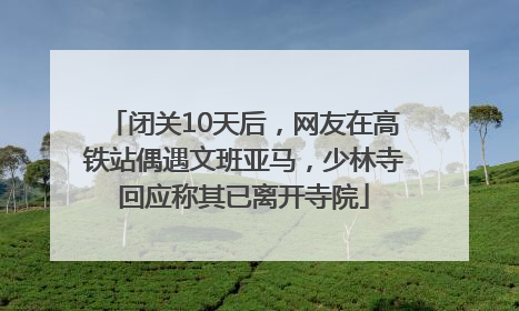 闭关10天后，网友在高铁站偶遇文班亚马，少林寺回应称其已离开寺院
