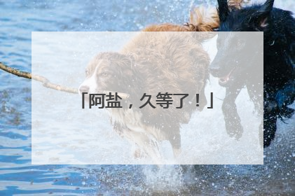 阿盐，久等了！