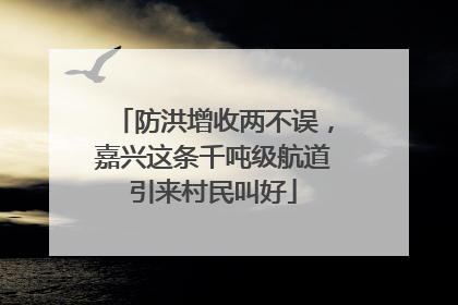 防洪增收两不误，嘉兴这条千吨级航道引来村民叫好