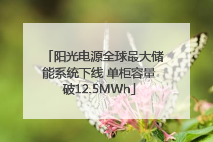 阳光电源全球最大储能系统下线 单柜容量破12.5MWh