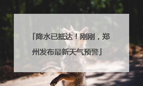 降水已抵达！刚刚，郑州发布最新天气预警