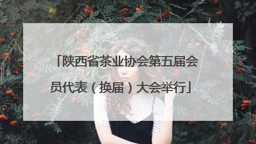 陕西省茶业协会第五届会员代表（换届）大会举行
