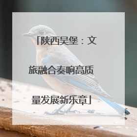 陕西吴堡：文旅融合奏响高质量发展新乐章