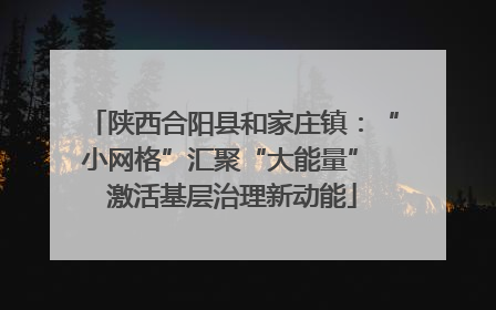 陕西合阳县和家庄镇：“小网格”汇聚“大能量” 激活基层治理新动能