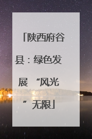 陕西府谷县：绿色发展 “风光”无限